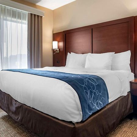 Comfort Suites Pell City I-20 Exit 158 Exteriör bild