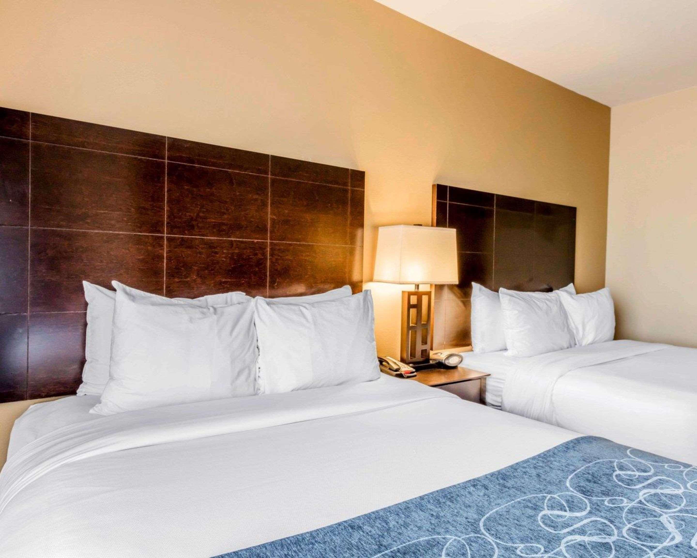 Comfort Suites Pell City I-20 Exit 158 Exteriör bild
